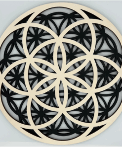 Alternative view of Mandala - Seme življenja in Roža življenja