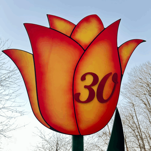 Lesena roža za rojstni dan - TULIPAN-