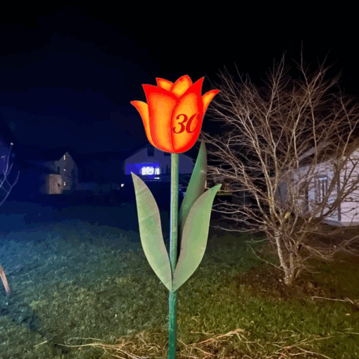 Lesena roža za rojstni dan - TULIPAN- - slika 5